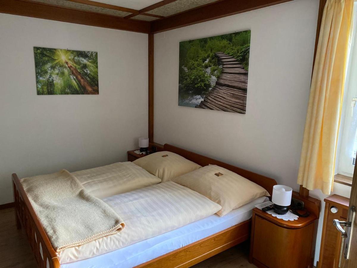 Hotel - Pension Scheiblechner เกิสต์ลิง อัน แดร์อิบส์ ภายนอก รูปภาพ